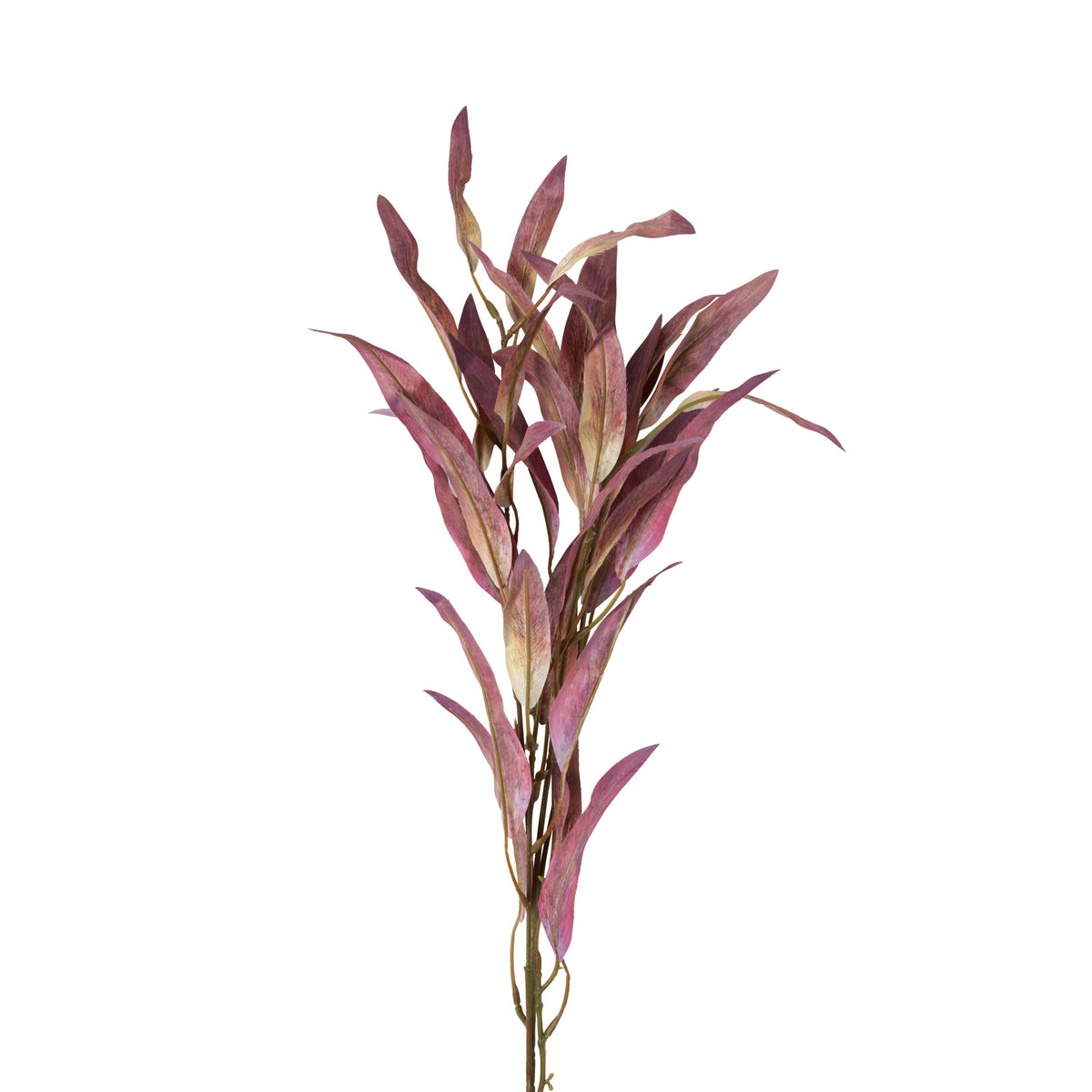 Bloomery Eucalyptus Stem 75cm