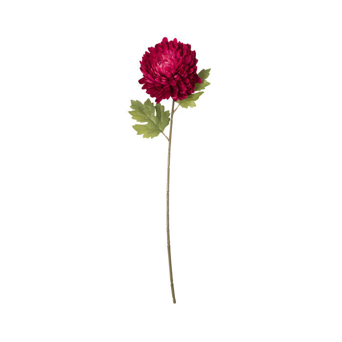 Bloomery Chrysanthemum Stem Red 61cm