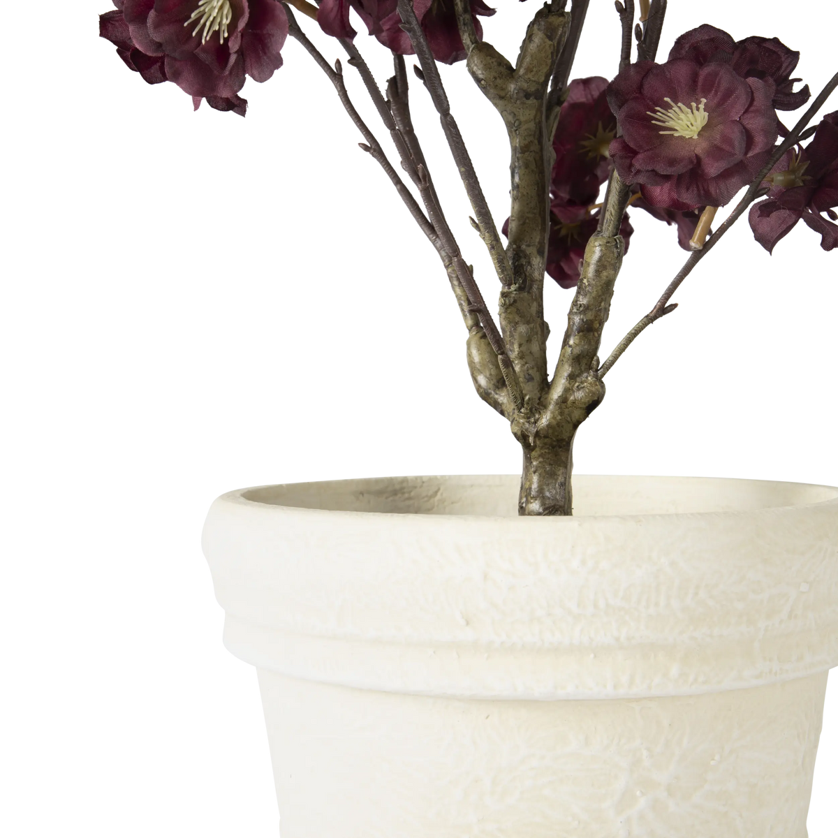 Folia Cherry Blossom in Paper Mache Pot