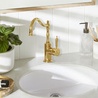 lifestyle_insitu: